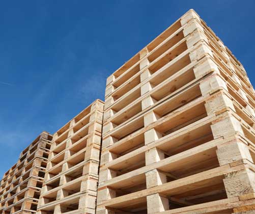 When Should I Choose Screws to Fasten Pallets?